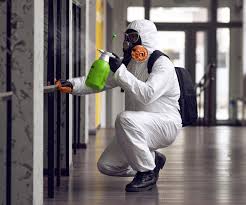 Why You Should Choose Our Mold Remediation Services in Carterville, IL